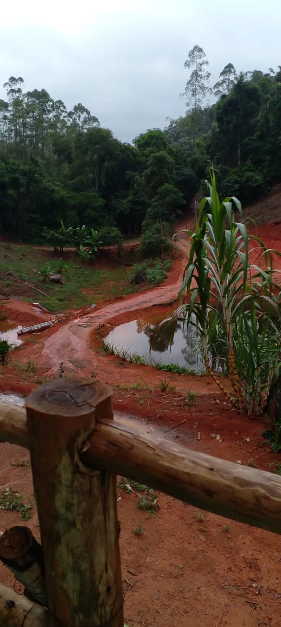 Terreno 34.000m² em Ibiraçu com Nascente - vista 2